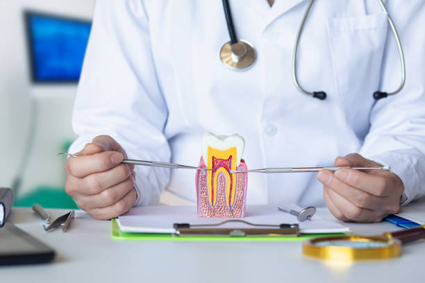 Best Emergency Broken Tooth Repair in Fairfield Glade, TN